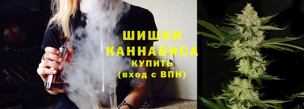 прущие грибы Арсеньев