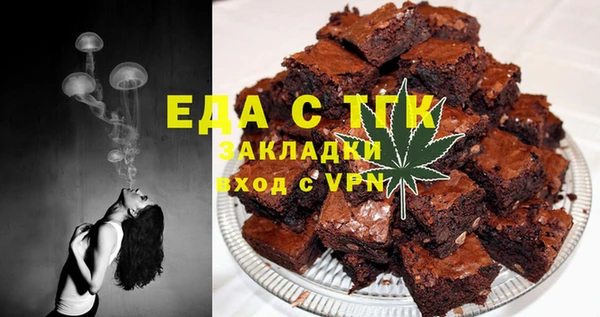 индика Алексин