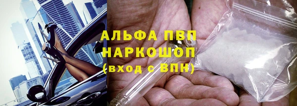 индика Алексин